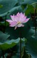 IMG-20240627-WA0060