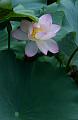 IMG-20240627-WA0062