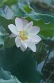IMG-20240627-WA0063