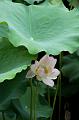 IMG-20240627-WA0069