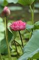 IMG-20240628-WA0004