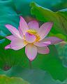 IMG-20240629-WA0007