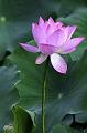 IMG-20240630-WA0000
