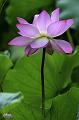 IMG-20240701-WA0001