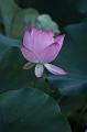 IMG-20240702-WA0001
