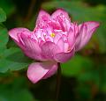 IMG-20240702-WA0003
