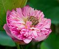 IMG-20240702-WA0005