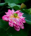 IMG-20240702-WA0006