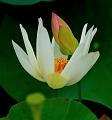 IMG-20240702-WA0007