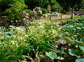 IMG-20240704-WA0031