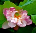 IMG-20240704-WA0034