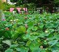 IMG-20240704-WA0035