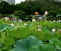IMG-20240704-WA0037