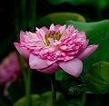 IMG-20240704-WA0041