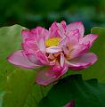 IMG-20240704-WA0042
