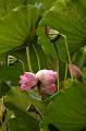 IMG-20230626-WA0000