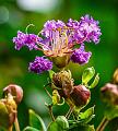 IMG-20230626-WA0009