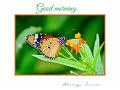 IMG-20230626-WA0013