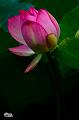 IMG-20230626-WA0444
