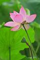 IMG-20230627-WA0000