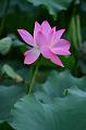 IMG-20230627-WA0003