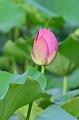 IMG-20230627-WA0005