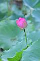 IMG-20230627-WA0007