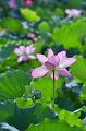 IMG-20230627-WA0008