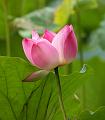IMG-20230627-WA0035