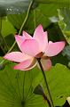 IMG-20230627-WA0036
