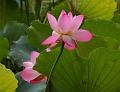 IMG-20230627-WA0041