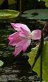 IMG-20230627-WA0042