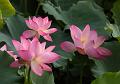 IMG-20230627-WA0043