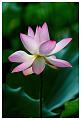IMG-20230627-WA0223