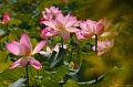 IMG-20230628-WA0001