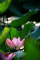 IMG-20230628-WA0003