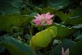 IMG-20230629-WA0371