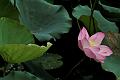 IMG-20230629-WA0372