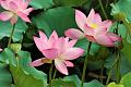 IMG-20230629-WA0375