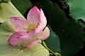IMG-20230629-WA0382