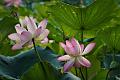 IMG-20230629-WA0383