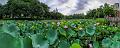 IMG-20230630-WA0020