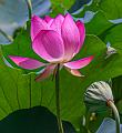 IMG-20230630-WA0050