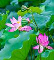 IMG-20230630-WA0051