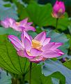 IMG-20230630-WA0053