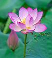 IMG-20230630-WA0054