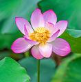 IMG-20230630-WA0056