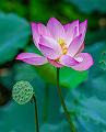 IMG-20230630-WA0057