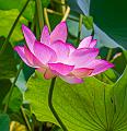 IMG-20230630-WA0060
