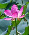 IMG-20230630-WA0061